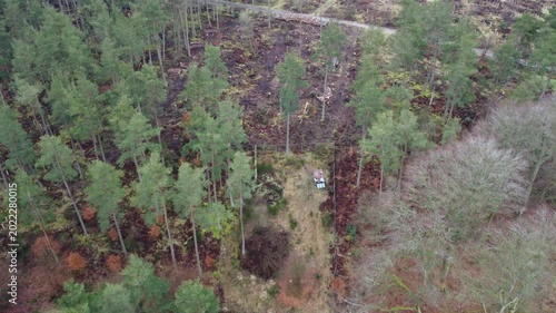 aerial drone shot of commercial plantation community woodland timber stacks transformation project conifer woodland spruce pine treetops cloudy day