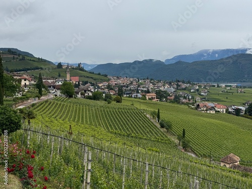 Blick nach Tramin in Südtirol