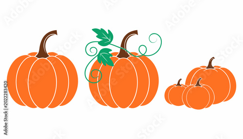 Fényképezés Five stylized orange pumpkins in a row on a white background; brown stems and white segment outlines