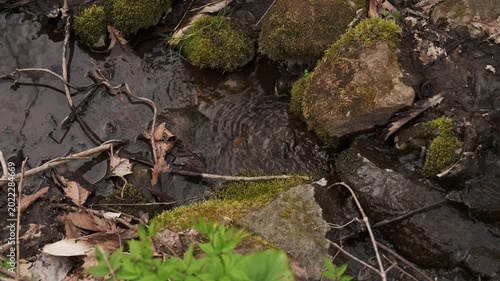 A small stream flowing between moss-covered fallen logs and rocks
