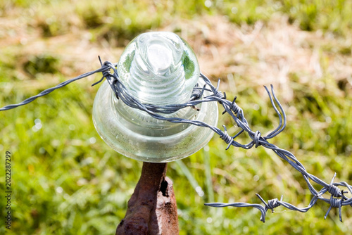 Stacheldraht Isolator 1