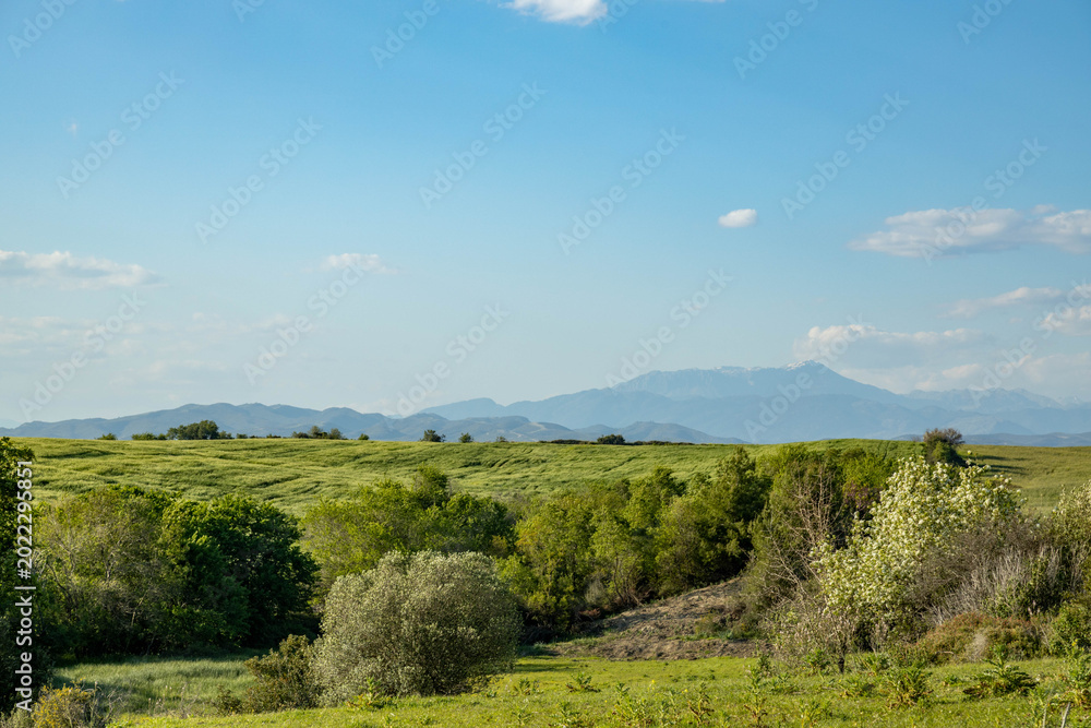 Obraz premium Picturesque rural landscape with green valley and trees against distant majestic taurus mountains under clear blue sky. Beautiful sunny spring day. Ilica, Antalya, Turkey.