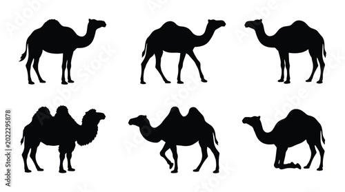 Fotografia Camel Silhouettes Collection, Desert Animal Vector Icons, Dromedary and Bactrian
