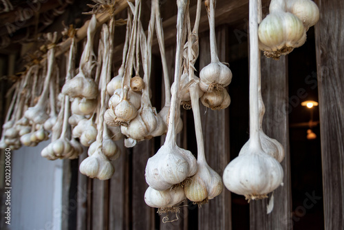 Tableau sur toile Close-up of garlic hanging outside wooden farmhouse