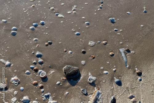 Top down view of highly reflective wet sand dotted with small seashells and stones.