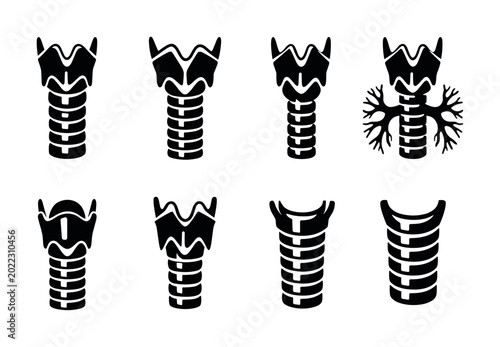 Fotografie Collection of stylized anatomical illustrations of the human larynx and trachea