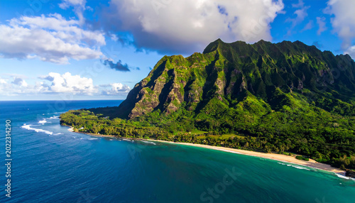Aerial View of Lush Tropical Mountains and Blue Ocean