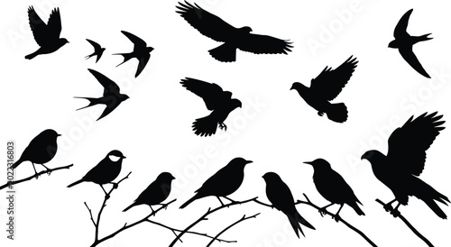 Tableau sur toile Black silhouettes of birds on branches and in flight, against white background,