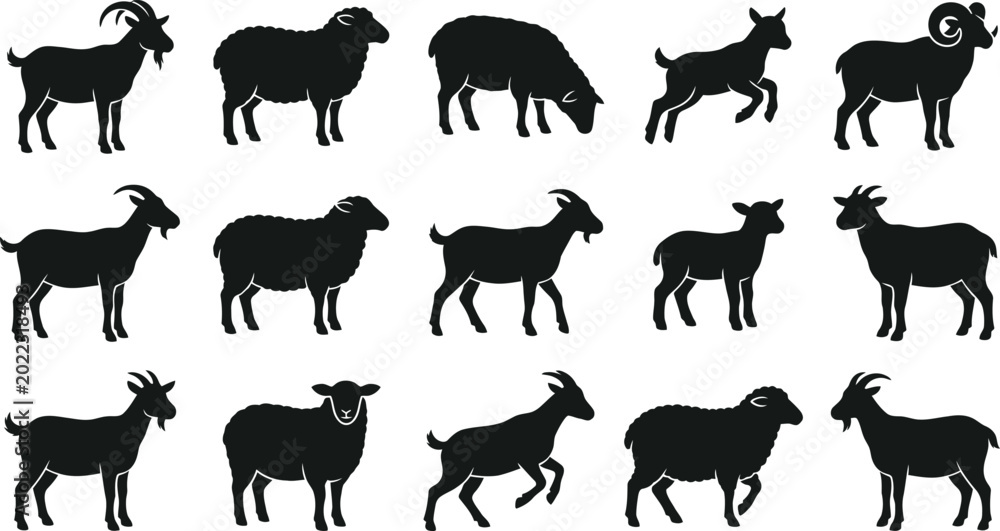 Fototapeta premium Black silhouettes of goats and sheep in various poses, standing on white background