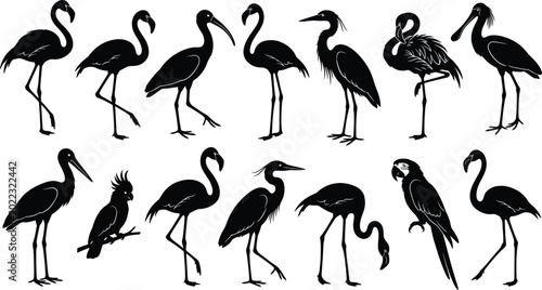 Bild auf Leinwand Black silhouettes of various herons and egrets, birds on white background