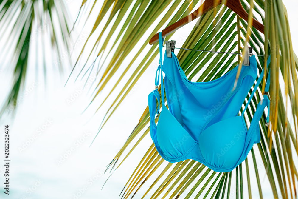 Fototapeta premium bikini swimsuit hanging from a palm tree branch, adding a tropical feel, and the scene suggests a Maldives tour, island escape. , Luxury vacation, coastal style, vibrant hues, carefree spirit.