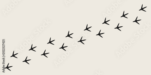 Hen paw prints vector 