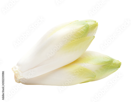 Fresh Belgian Endive Leaves Isolated on Transparent Background PNG	