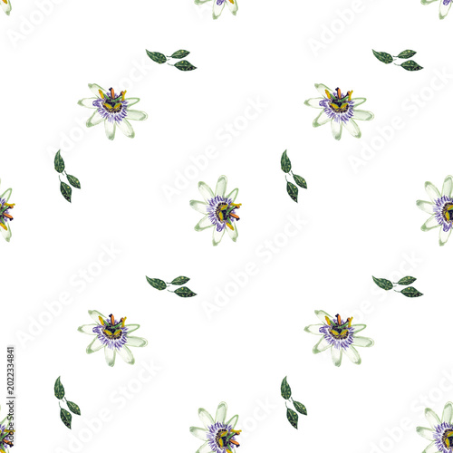 Bild auf Leinwand Pattern con fiori di passiflora e foglie, illustrazione ad acquerello su sfondo