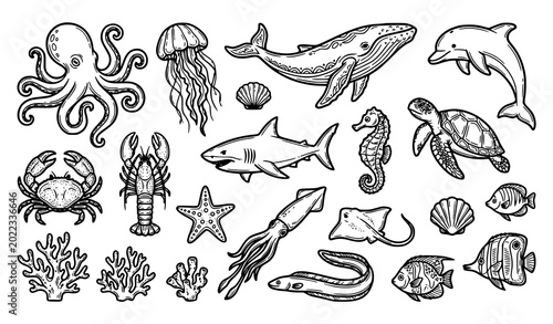 Photos Black and white sea creature outline doodle vector set with hand drawn marine an
