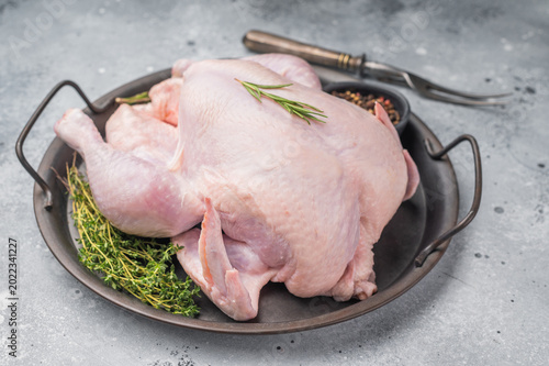 Quadro su tela Raw whole chicken on a rustic metal tray with fresh rosemary, thyme, and peppercorns on a gray concrete background, ready for cooking