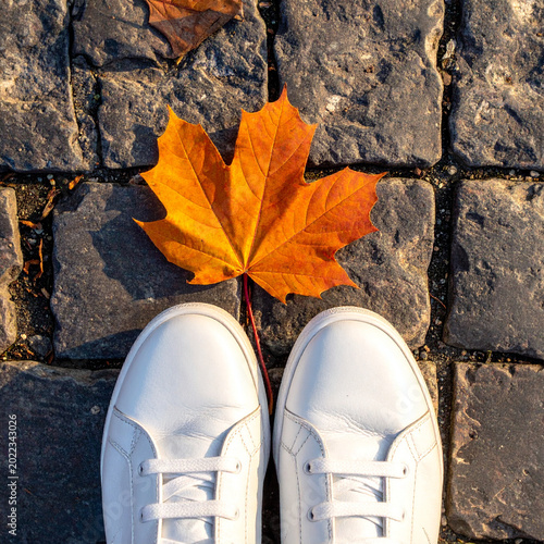 Top-down, picture of a pair of clean, classic white leather sneakers with an orange maple leaf on a sidewalk. Ai