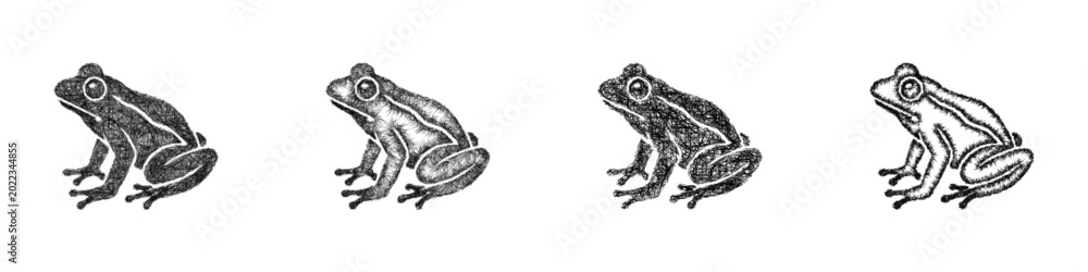 Fototapeta premium Sketch frog icon design set