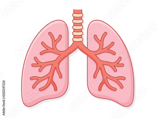 Lungs Vector Icon, Respiratory System and Pulmonary Illustration