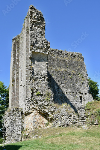 Standing Corner of Castle Tower Ruins, Domfront Castle (French: Château Domfront), Normandy - Portrait