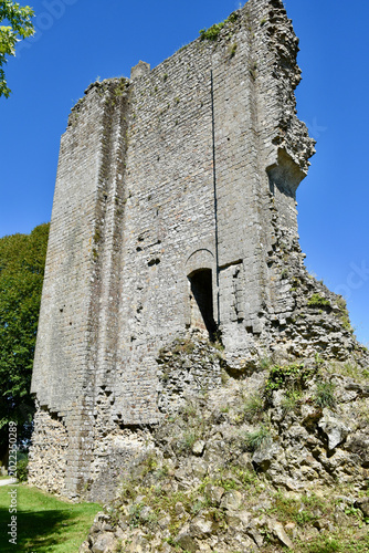 Domfront Castle (French: Château Domfront) Tall Freestanding Wall Ruin Detail, Portrait