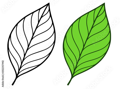 Canvastavla Leaf illustration, in line art and colored design, for coloring page