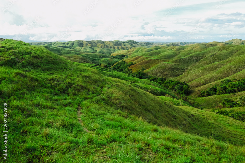 Fototapeta premium Wairinding Hill Scenic Rolling Grassland Savanna Landscape in East Sumba