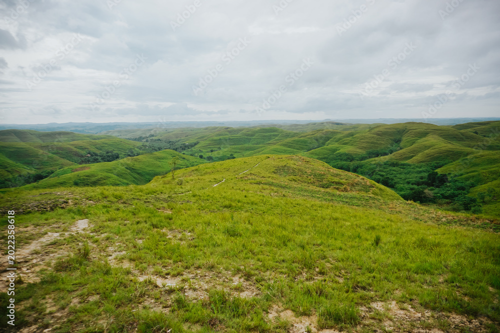 Obraz premium Wairinding Hill Scenic Rolling Grassland Savanna Landscape in East Sumba