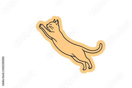 Canvas Print playfull cat