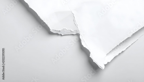 Torn white paper fragments with rough edges, casting soft shadows on gray