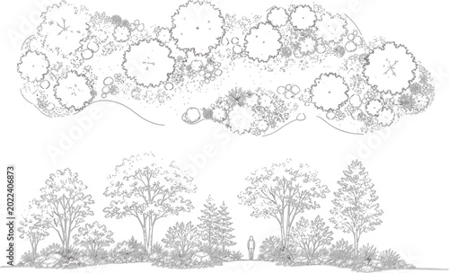 Landscape Tree Elevation and Plan View Vector Set with Garden Shrubs, Top View Canopies and Architectural Planting Line Art