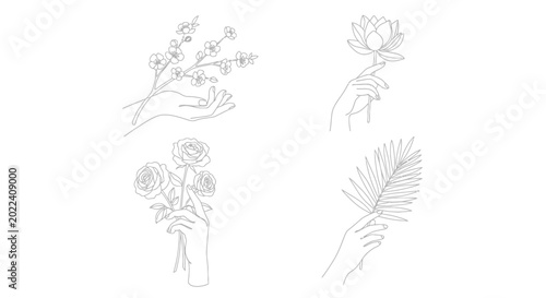 Minimalist line art hands holding various delicate botanical elements, elegant floral illustrations