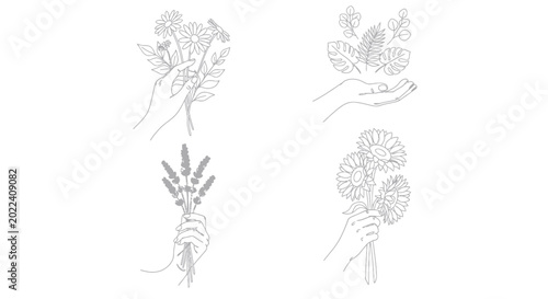 Botanical line art sketches of hands holding various flowers and natural elements