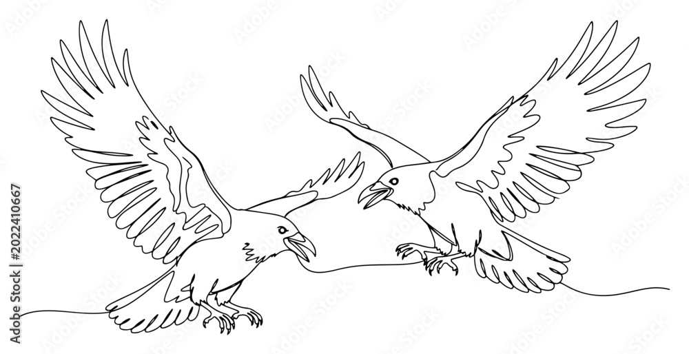 Fototapeta premium Two ravens flying and interacting in mid-air in minimalist continuous line art style
