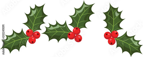 Tableau sur toile Holly sprigs with red berries isolated on white background