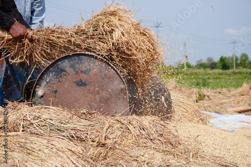 Schilderij op canvas Farmer Handling Straw near Traditional Threshing Machine