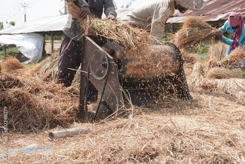 Foto Traditional Grain Threshing with Mechanical Machine