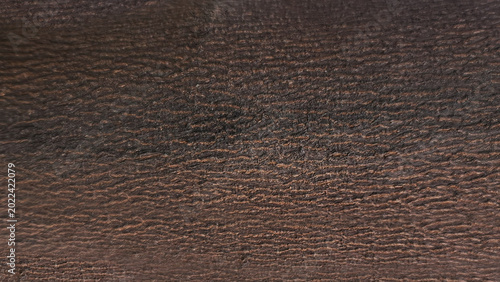 Dark Brown Wood Texture Background with Natural Grain Pattern