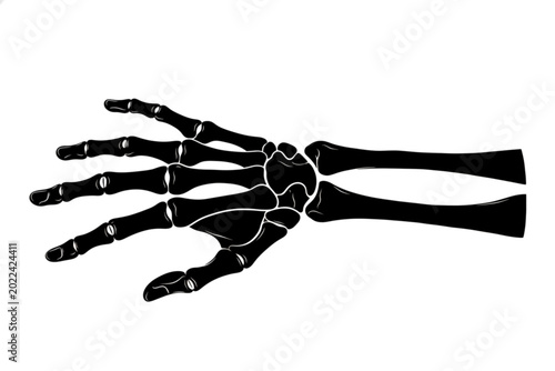 Fotografía Anatomical Study: A stark, minimalist illustration presents a detailed view of the human hand's skeletal structure, emphasizing the intricate design of the wrist and fingers
