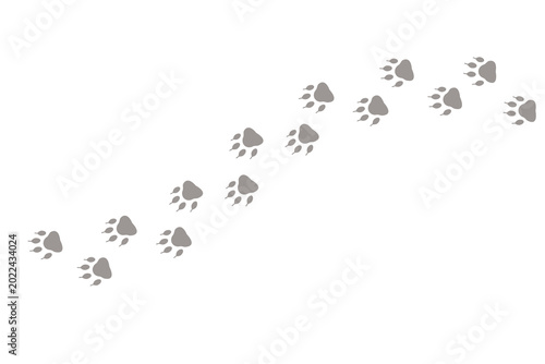 Paw print of dog isolated on transparent background. cat paw print. cat walk foot print. Paw print of dog PNG paw 