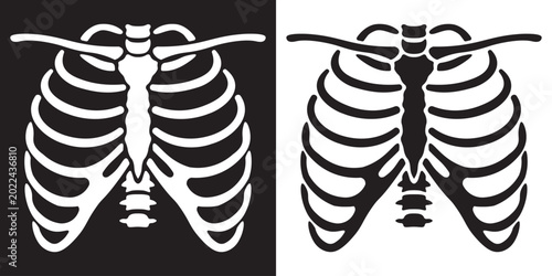  human rib skeleton bone medical anatomy x-ray imaging symbol icon isolated illustration