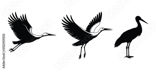Cuadro en lienzo Flying Stork Carrying Baby Basket vector for newborn child concept, cartoon bird silhouette and cute kids arrival illustration