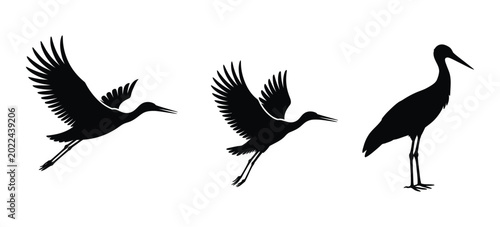 Canvastavla Flying Stork Carrying Baby Basket vector for newborn child concept, cartoon bird silhouette and cute kids arrival illustration