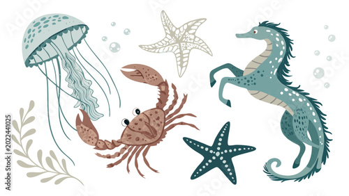Foto Seahorse starfish jellyfish and crab marine.
