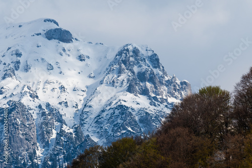 Beautiful Panorama of the Bucegi Mountains (Romania) Covered by Snow with a Dark Forest in the Foreground