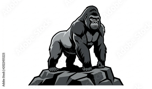 Photography Silverback gorilla standing on lookout vector isolated