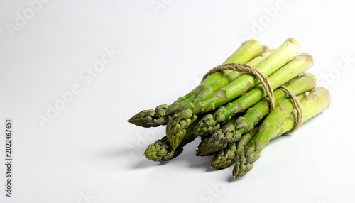 Fresh Green Asparagus Spears Tied Together on White Background.