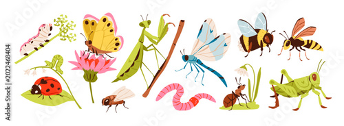Tableau sur toile Cute insect collection with butterfly, bee, dragonfly, and ladybug characters