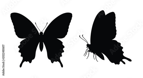 Tableau sur toile Two butterfly silhouettes in different poses black on white background silhouett