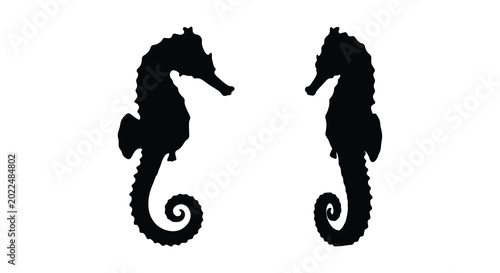Bild auf Leinwand two black seahorse silhouettes facing each other on a white background marine li